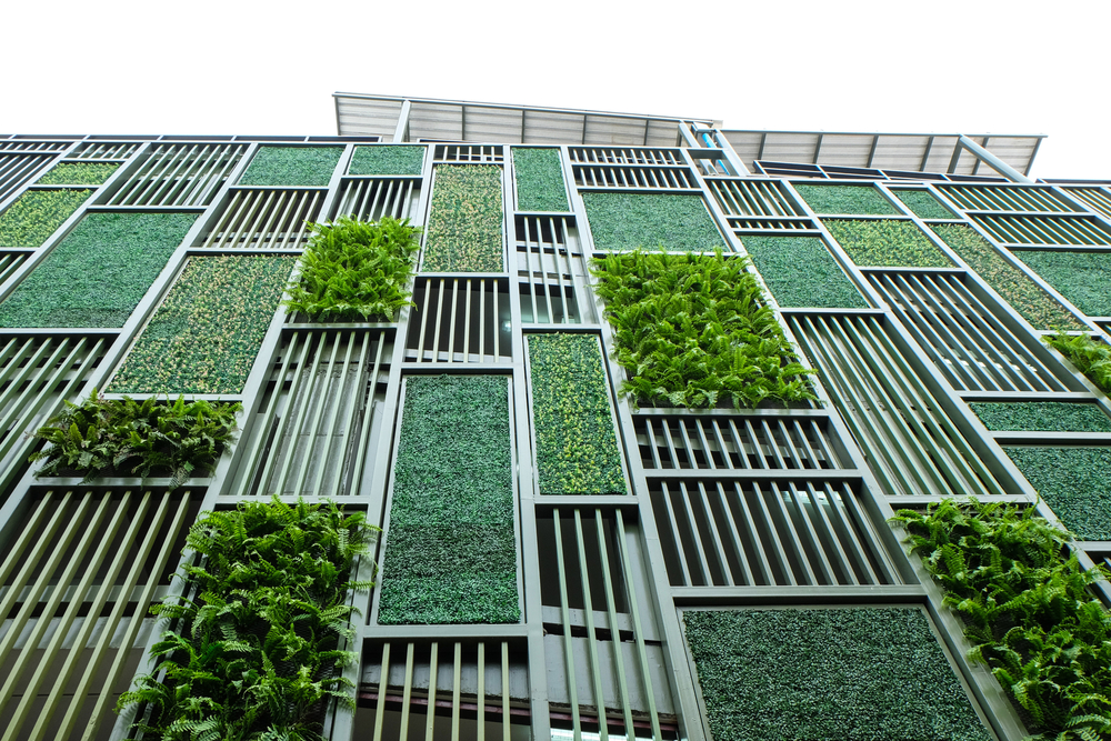 eco+building+advice