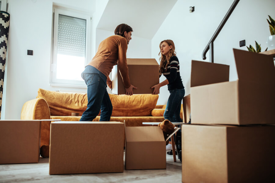 homely-moving-house-sudden-moving-box (1)