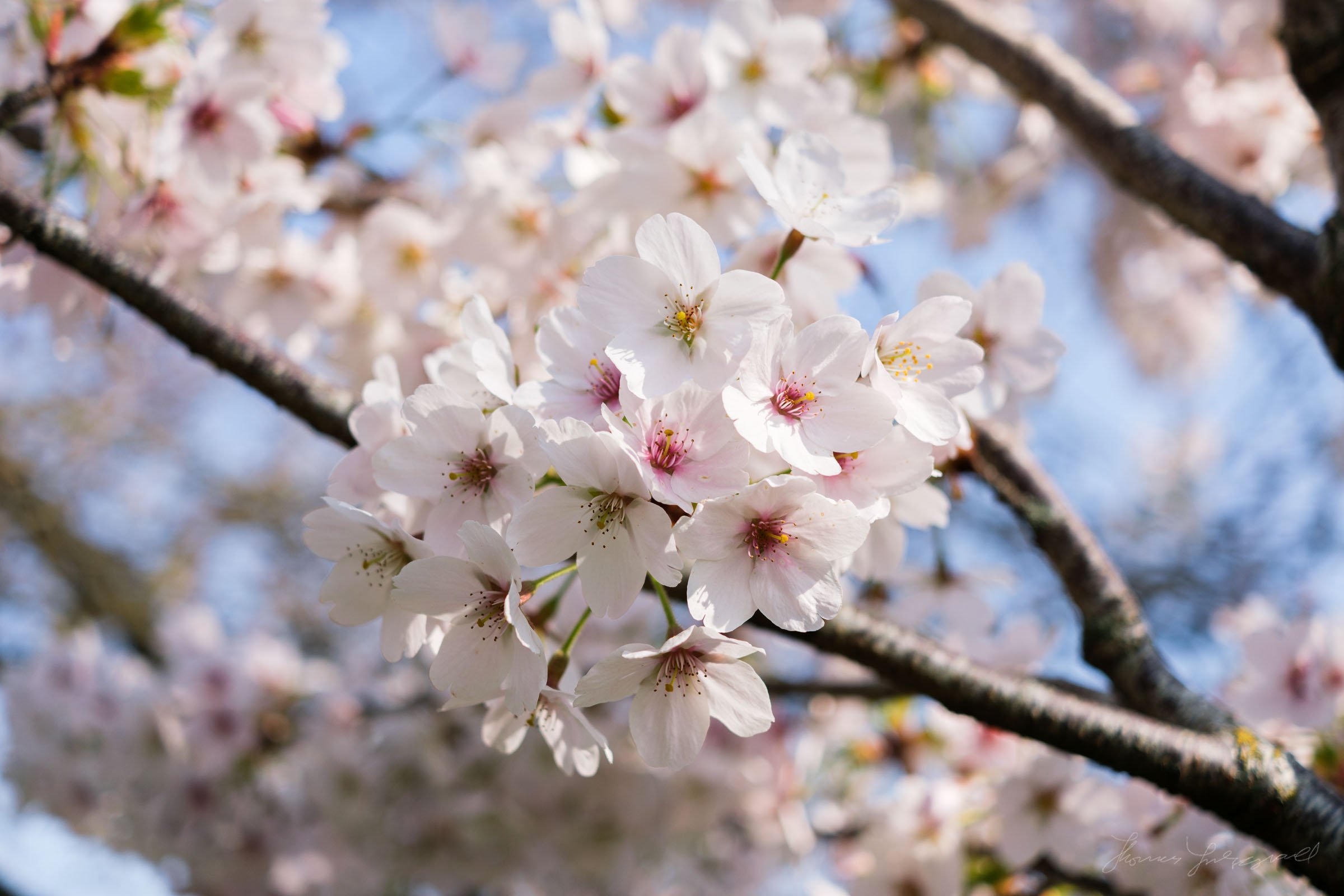 Fujifilm-X-E4-Sample-Image00023